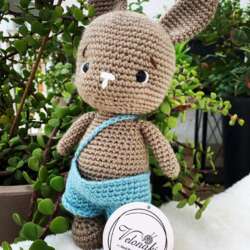 MR. Rabbit