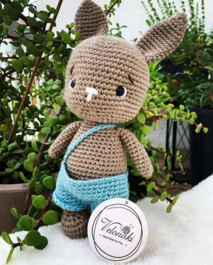 MR. Rabbit