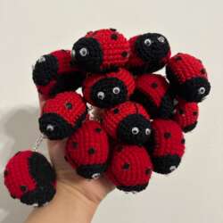 Ladybug