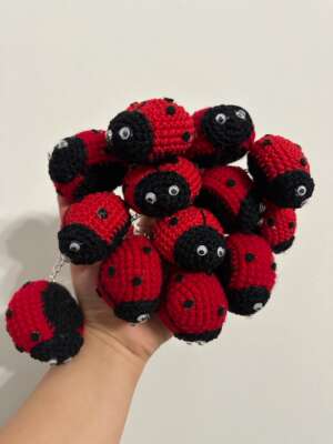 Ladybug